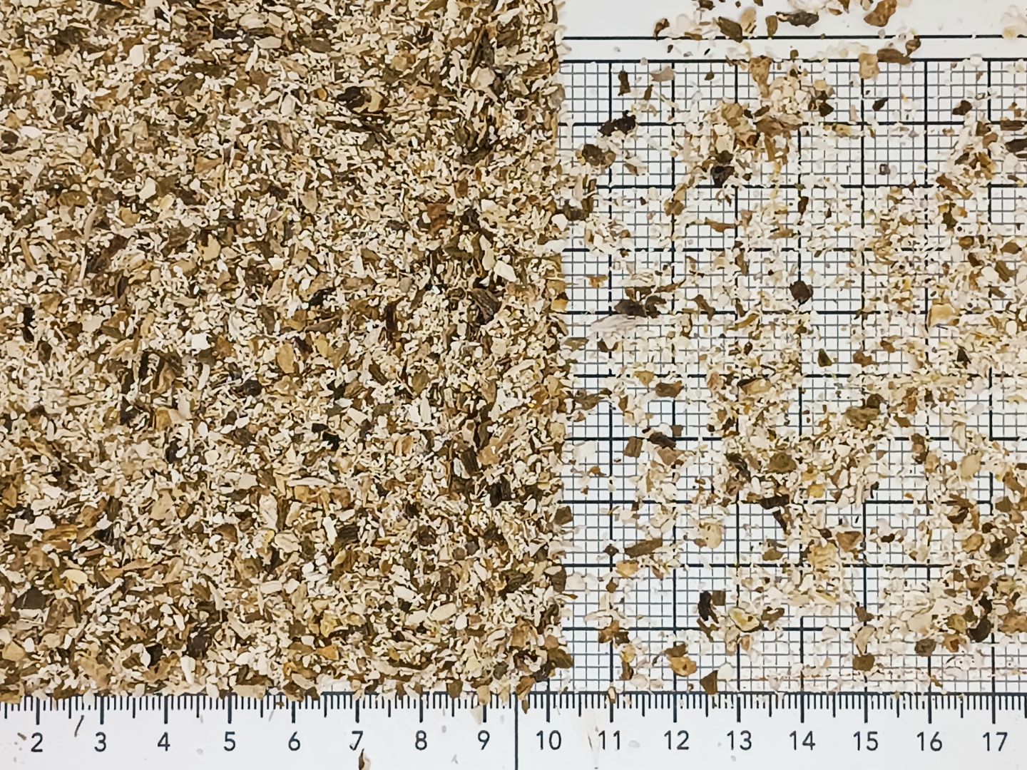 гриб белый 1-3 мм 9