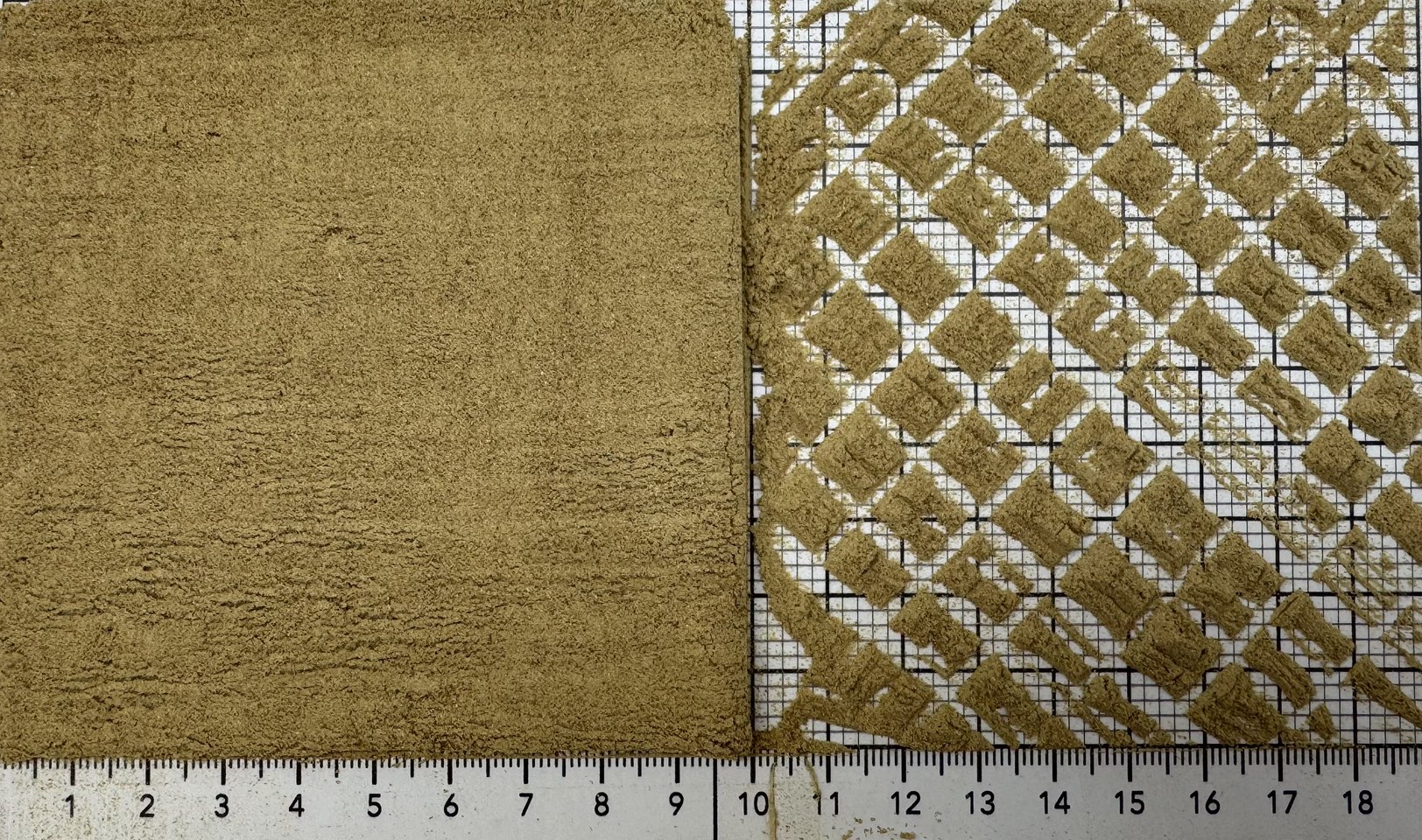 гриб лисичка порошок