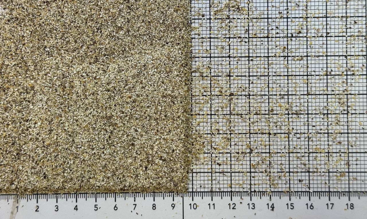 гриб шампиньон 1-2 мм