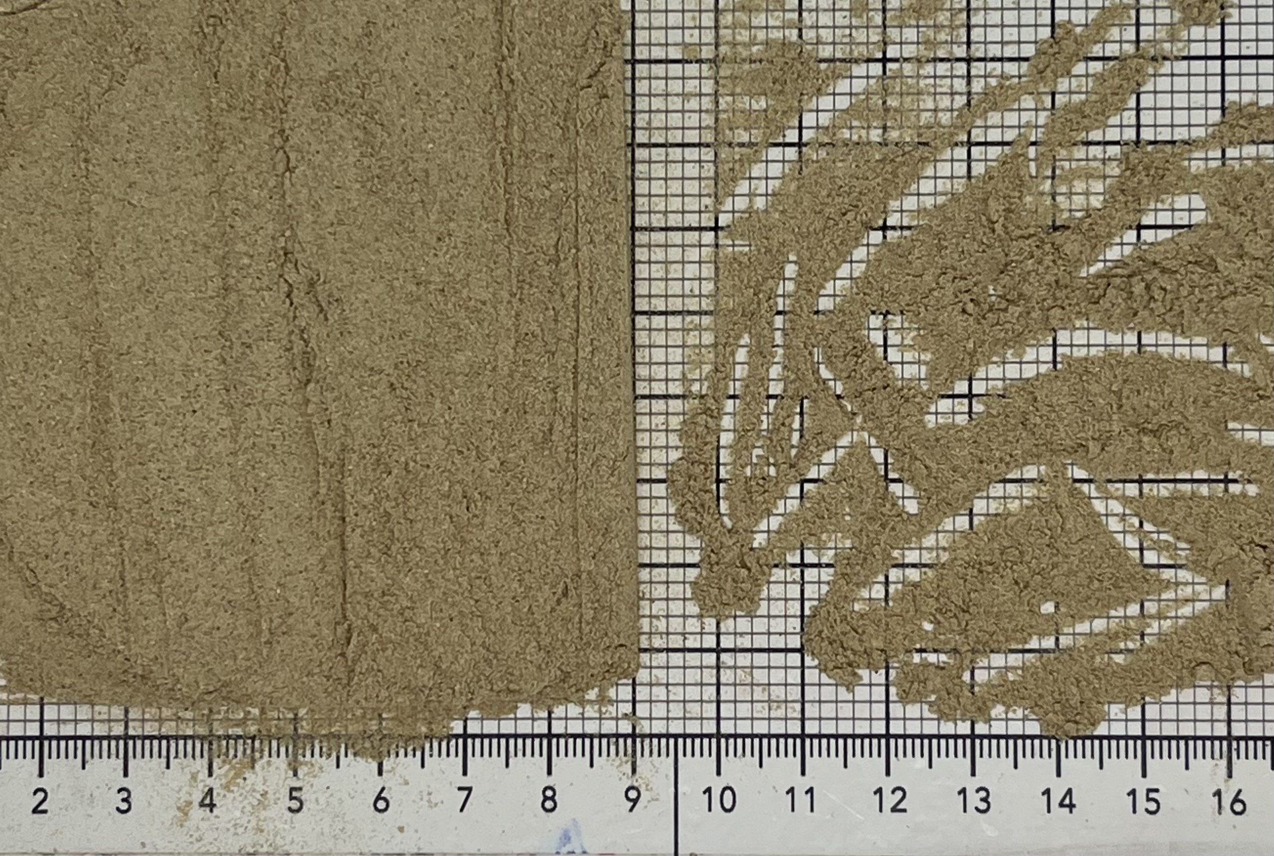 гриб шампиньон порошок экстра