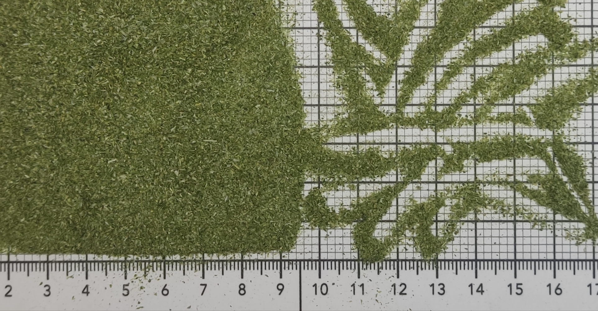 лук зеленый 0.1-1 мм