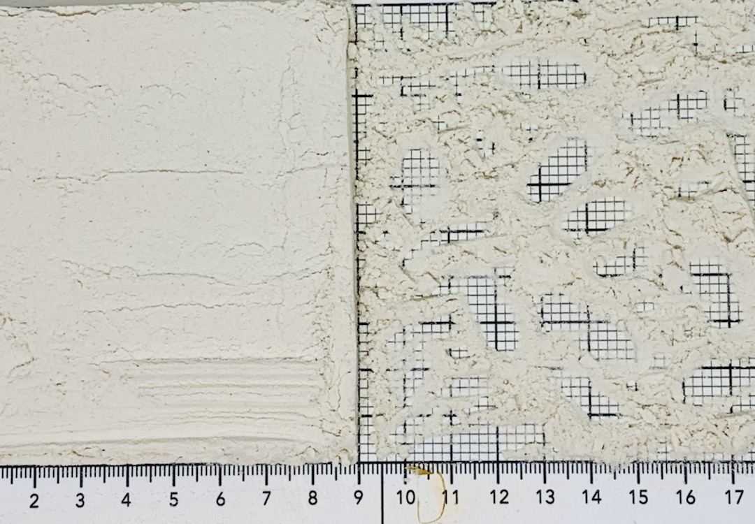 лук репчатый порошок