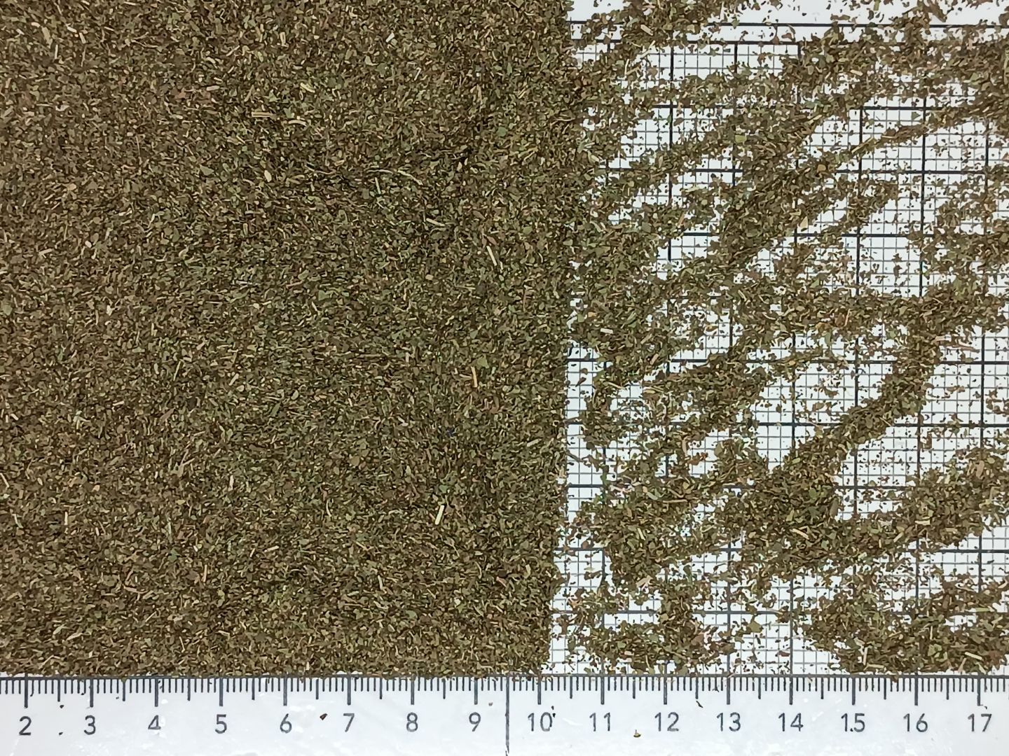 мята перечная