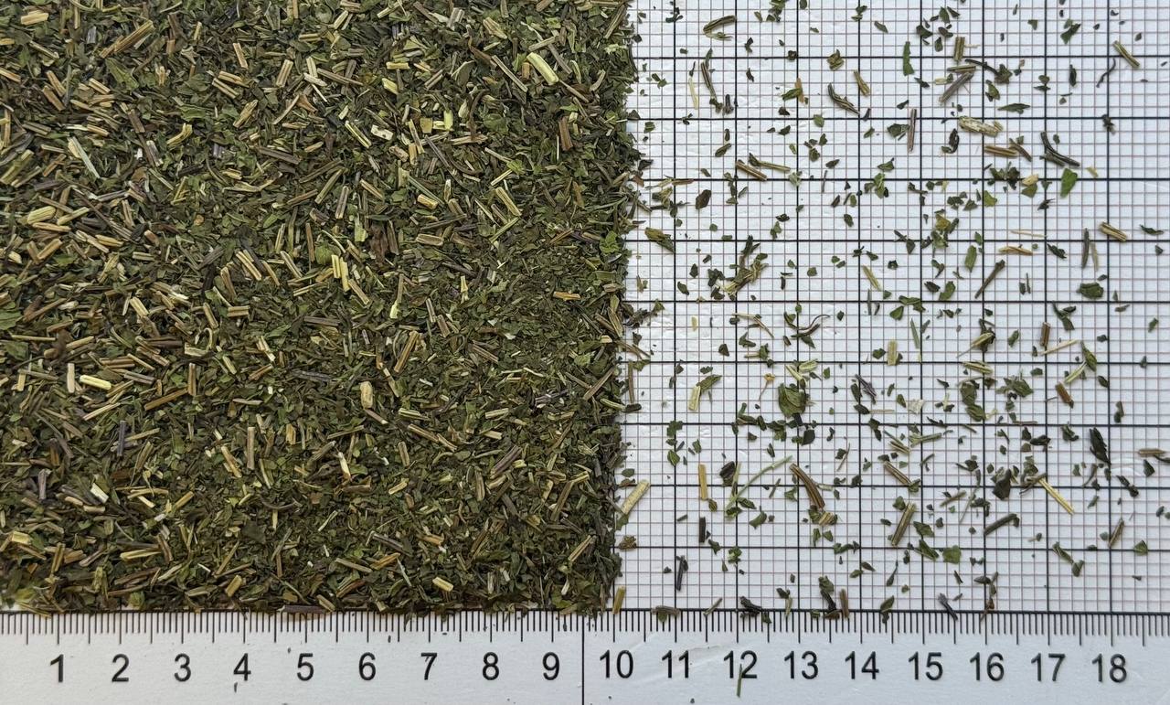 мята очищенная