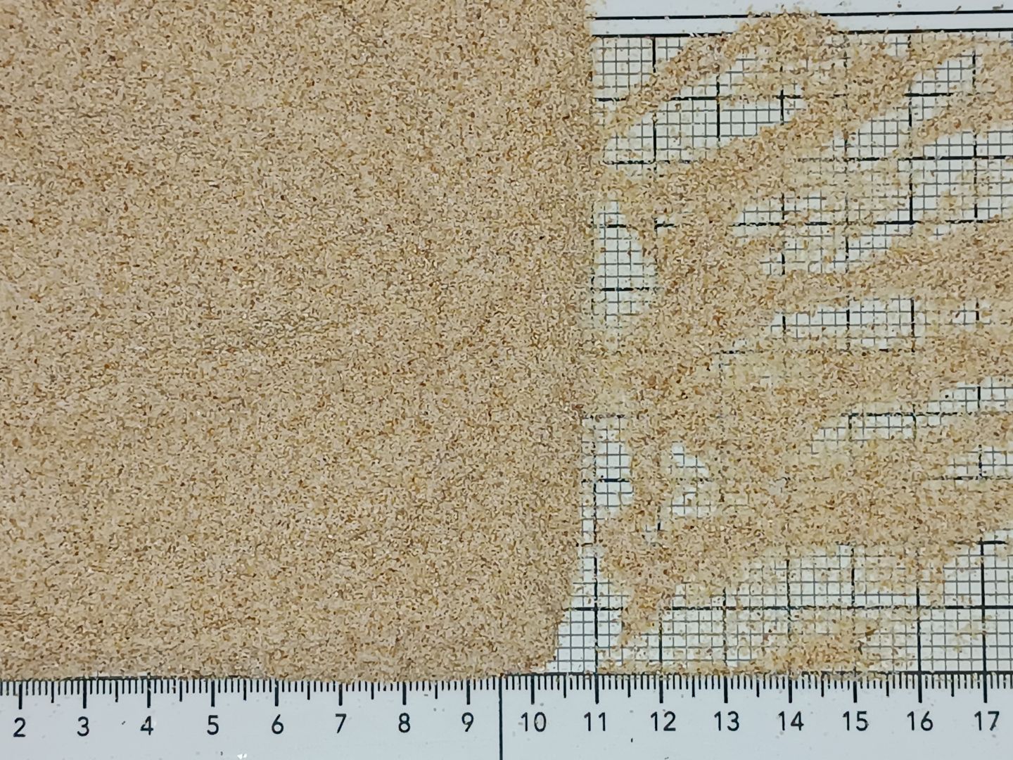 чеснок гранулы 40-60 меш